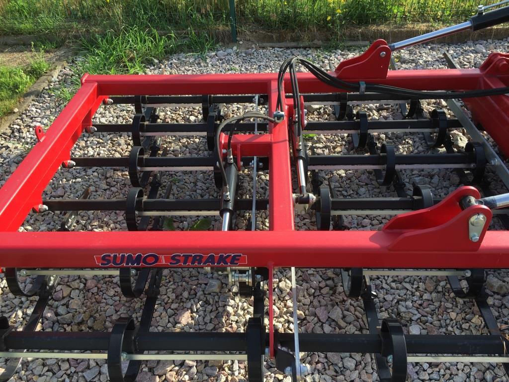 Sumo - Äke: pilt 4 Sumo - Äke: pilt 4