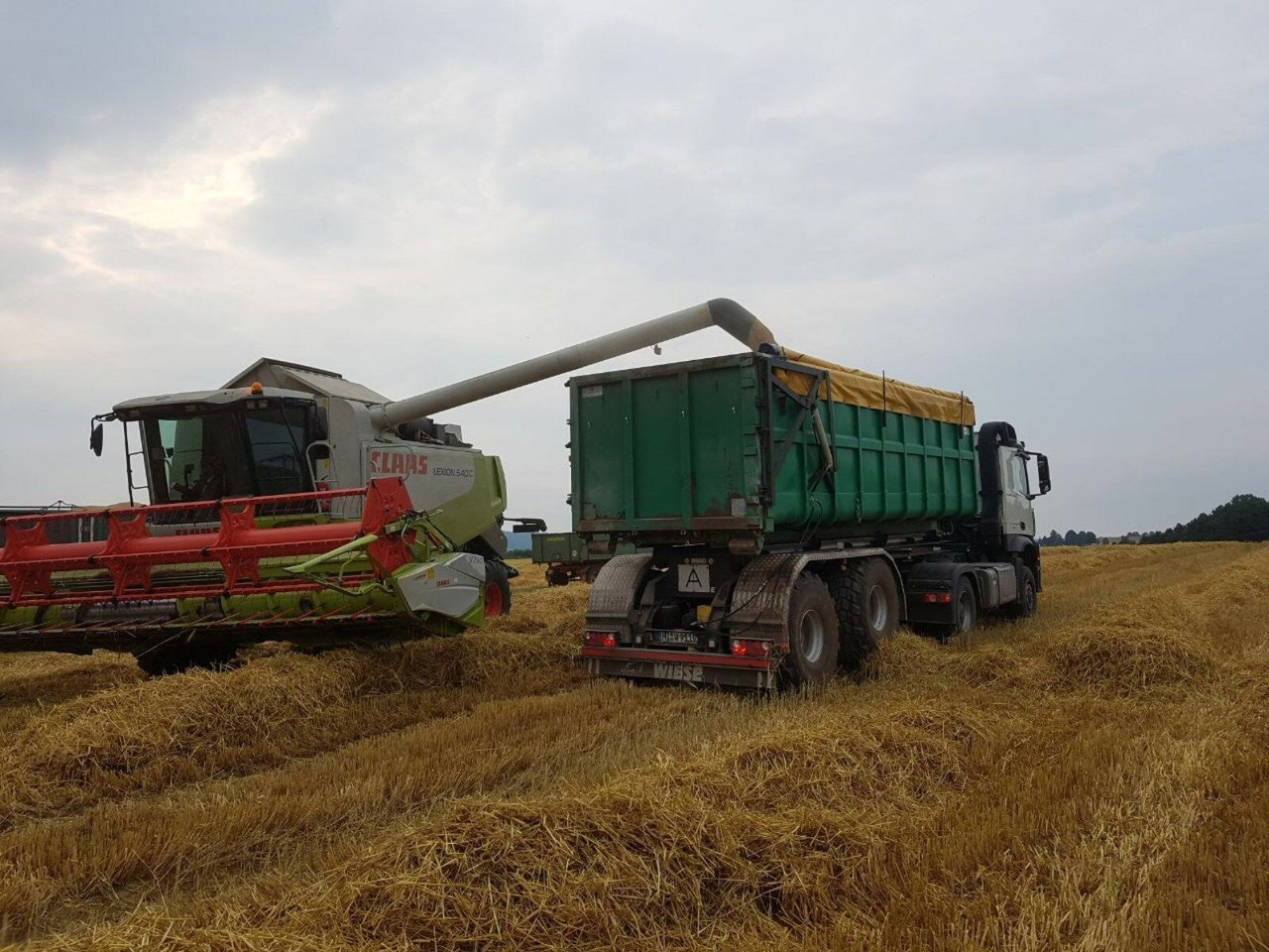Auflieger Abrollkipper Hakenlift Agrar - Konteinerveduk/ Tõstukiga poolhaagis: pilt 3 Auflieger Abrollkipper Hakenlift Agrar - Konteinerveduk/ Tõstukiga poolhaagis: pilt 3