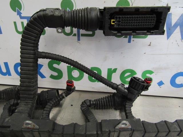 DAF XF 105 PACCAR INJECTOR/ECU HARNESS P/NO 1696501/00 - Elektrisüsteem - Veoauto: pilt 3 DAF XF 105 PACCAR INJECTOR/ECU HARNESS P/NO 1696501/00 - Elektrisüsteem - Veoauto: pilt 3