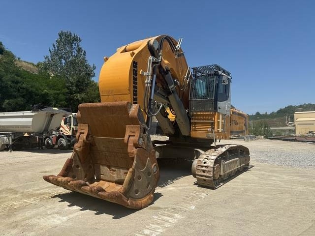 Liebherr R976 HD - Lintekskavaator: pilt 1 Liebherr R976 HD - Lintekskavaator: pilt 1