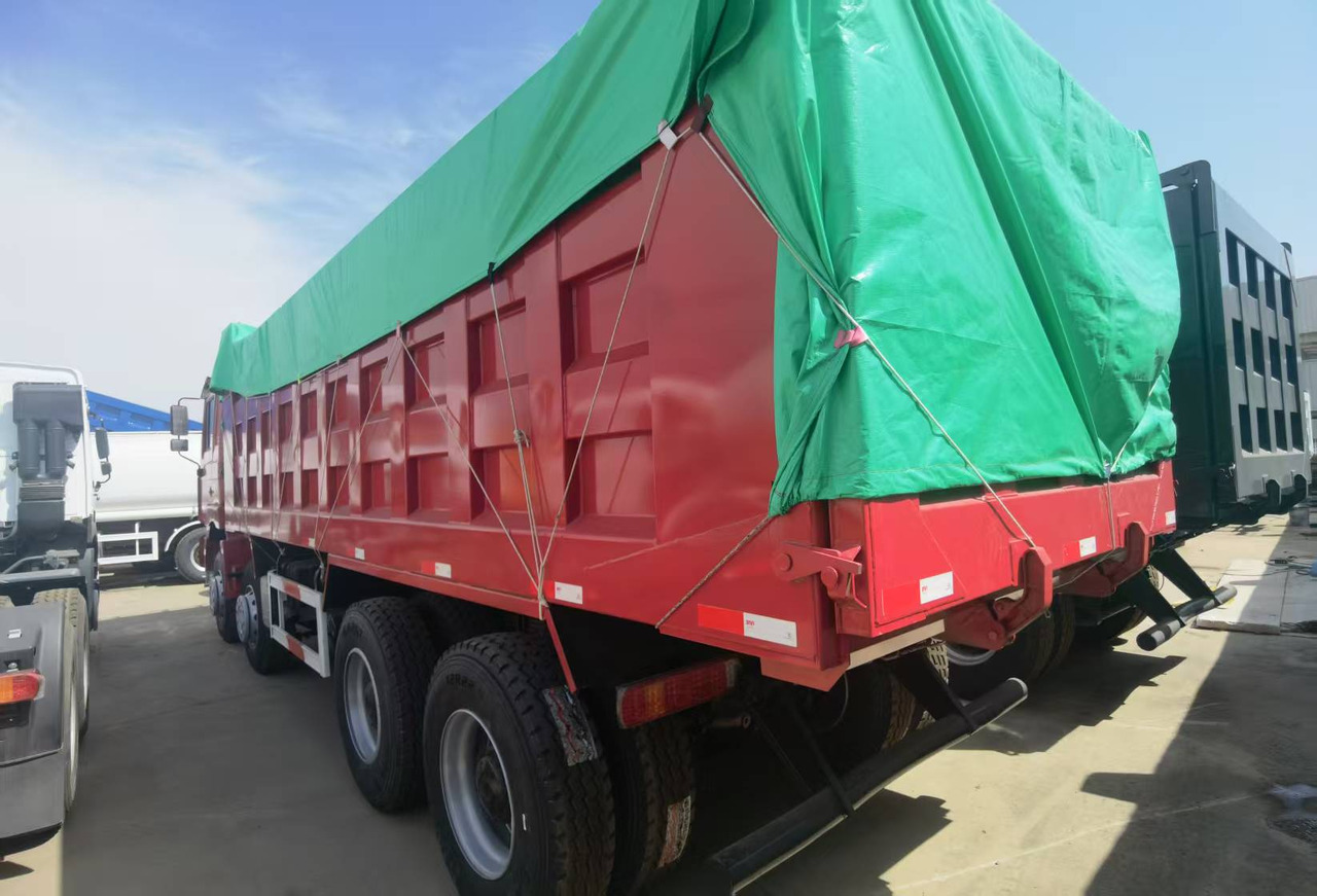 Kallurauto Shacman F3000 8*4 Dump truck: pilt 7