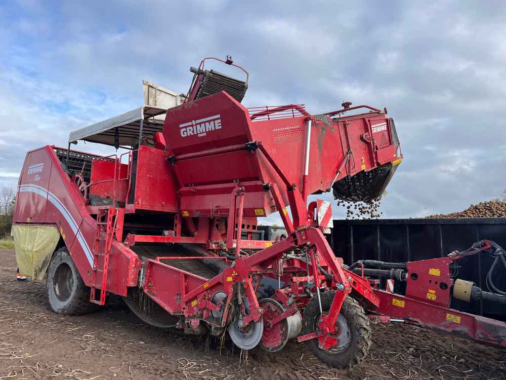 Grimme SE-260-UB - Saagikoristusmasin: pilt 1 Grimme SE-260-UB - Saagikoristusmasin: pilt 1