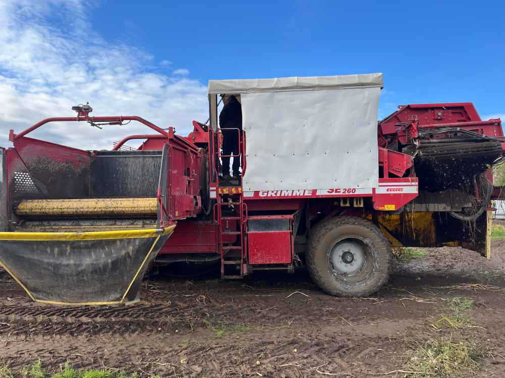 Grimme SE-260-UB - Saagikoristusmasin: pilt 5 Grimme SE-260-UB - Saagikoristusmasin: pilt 5