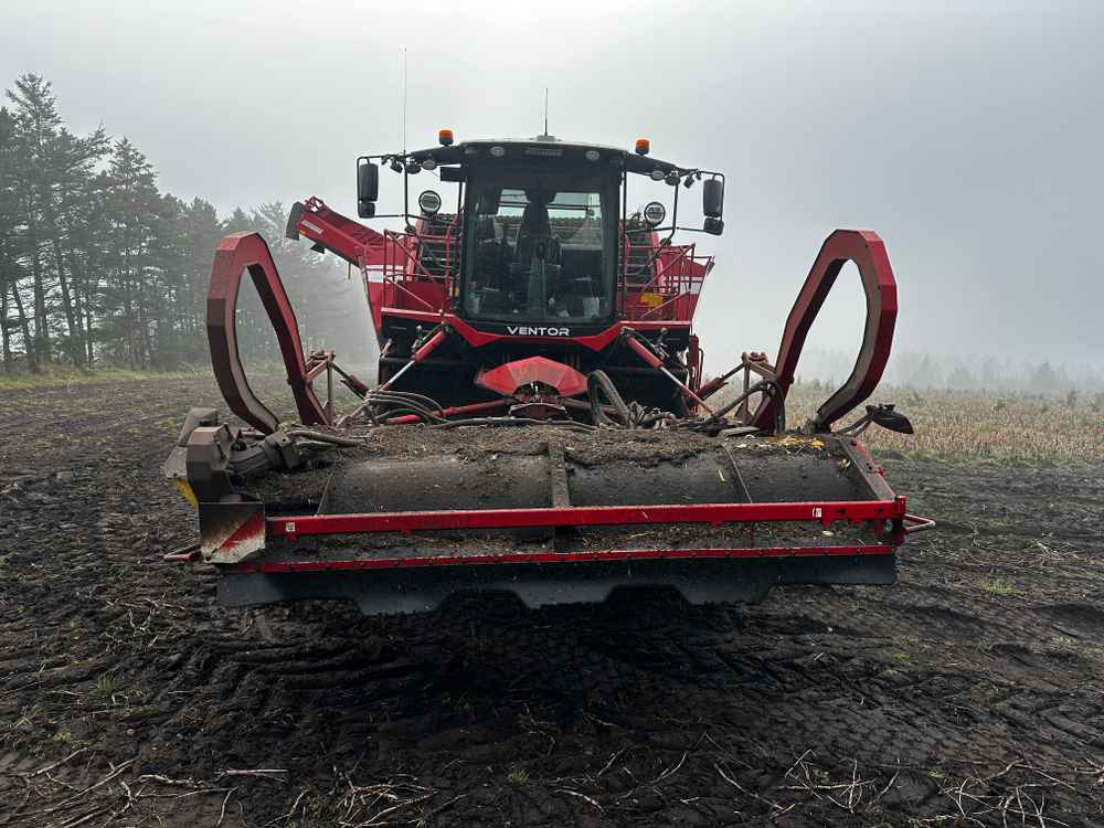 Grimme VENTOR 4150 ClodSep - Saagikoristusmasin: pilt 2 Grimme VENTOR 4150 ClodSep - Saagikoristusmasin: pilt 2