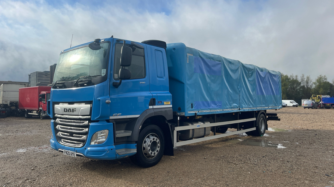 Daf CF 290 - Madelveok/ Platvormveok: pilt 2 Daf CF 290 - Madelveok/ Platvormveok: pilt 2