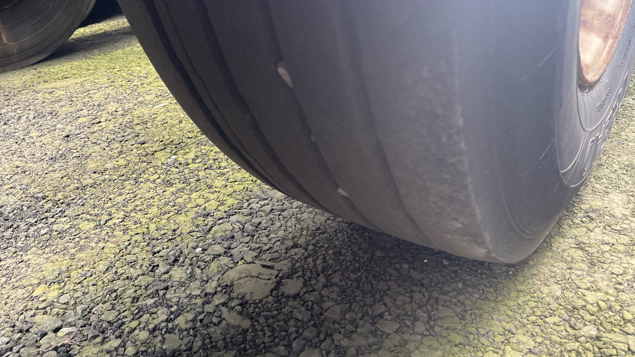 Haagis DENNISON SKELATEL TRIAXLE: pilt 15