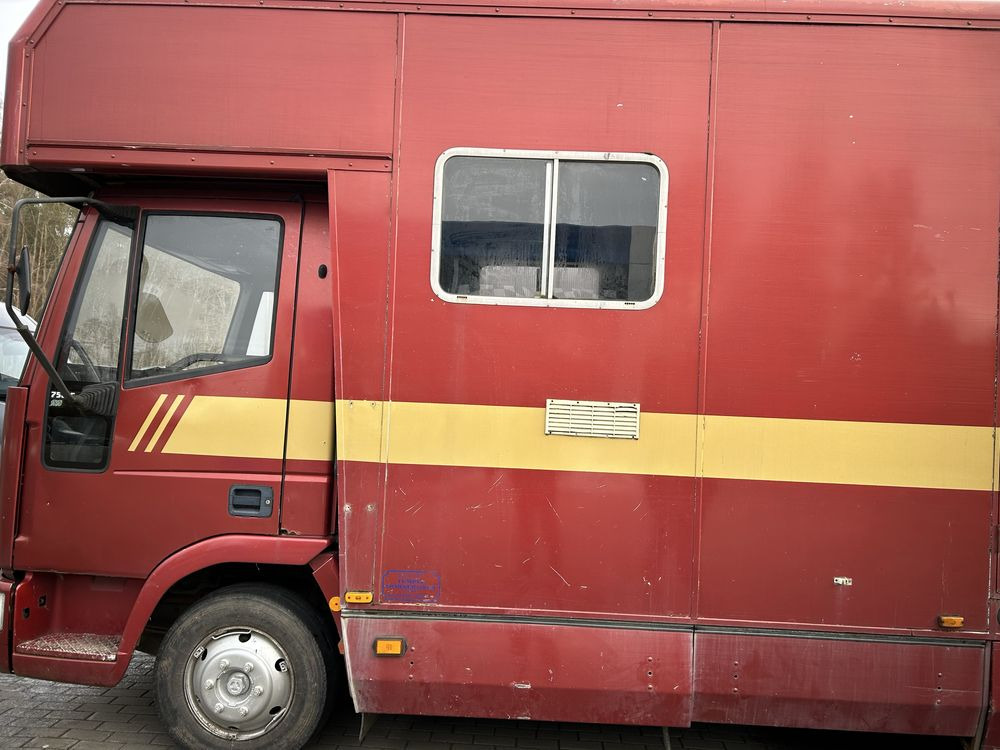 Kamper koniowoz Iveco 2w1 - Hobuseauto: pilt 2 Kamper koniowoz Iveco 2w1 - Hobuseauto: pilt 2