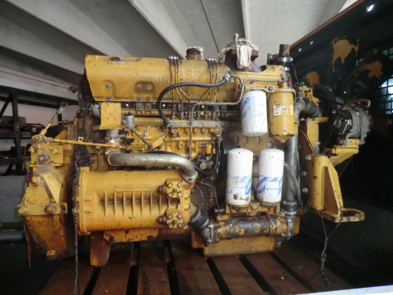 FIAT 8215-02 *542 Motore perfettamente funzionante completo di pompa nafta e iniettori revisionati. - Mootor - Ehitusmasinad: pilt 1 FIAT 8215-02 *542 Motore perfettamente funzionante completo di pompa nafta e iniettori revisionati. - Mootor - Ehitusmasinad: pilt 1