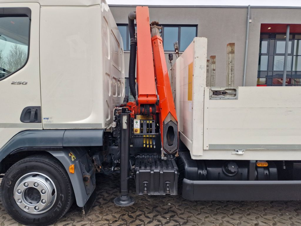 Kraanaga veoauto, Madelveok/ Platvormveok DAF LF 250FA / Palfinger PK8501A: pilt 11
