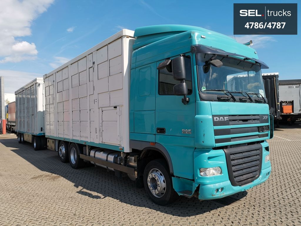 DAF XF 105.460 / Intarder / 4 Stock / KOMPLETT ! - Loomaveok: pilt 4 DAF XF 105.460 / Intarder / 4 Stock / KOMPLETT ! - Loomaveok: pilt 4