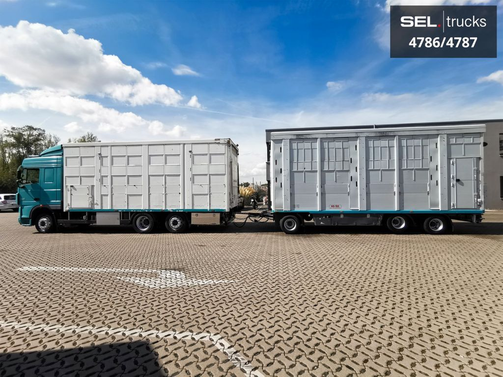 DAF XF 105.460 / Intarder / 4 Stock / KOMPLETT ! - Loomaveok: pilt 1 DAF XF 105.460 / Intarder / 4 Stock / KOMPLETT ! - Loomaveok: pilt 1
