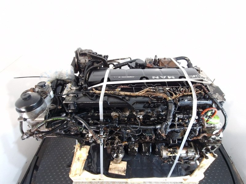 Mootor MAN  D0836 LOH56 Engine (Bus): pilt 10