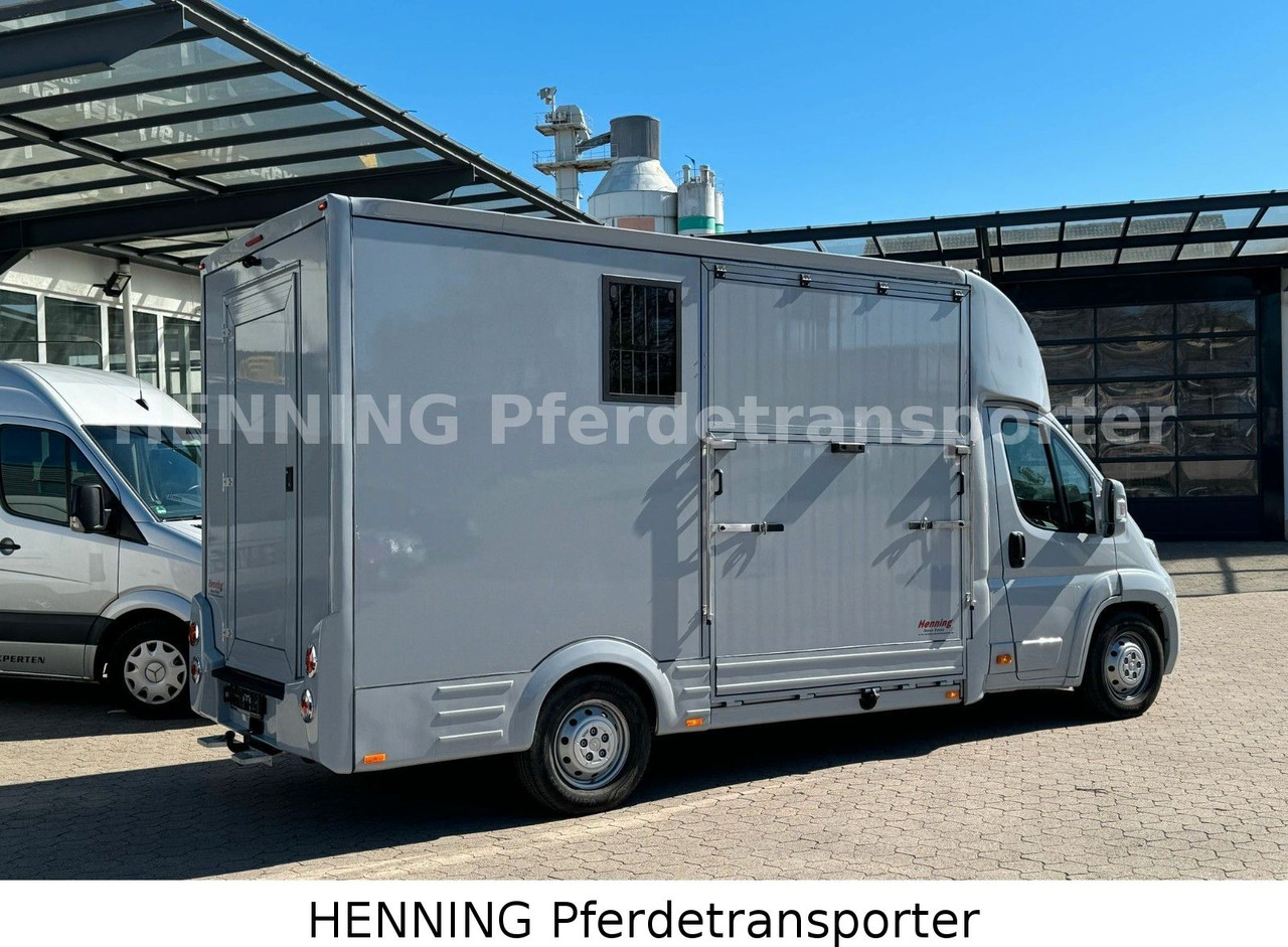 Citroën Jumper 3 - Sitzer *AUFBAU NEU* - Hobuseauto: pilt 3 Citroën Jumper 3 - Sitzer *AUFBAU NEU* - Hobuseauto: pilt 3