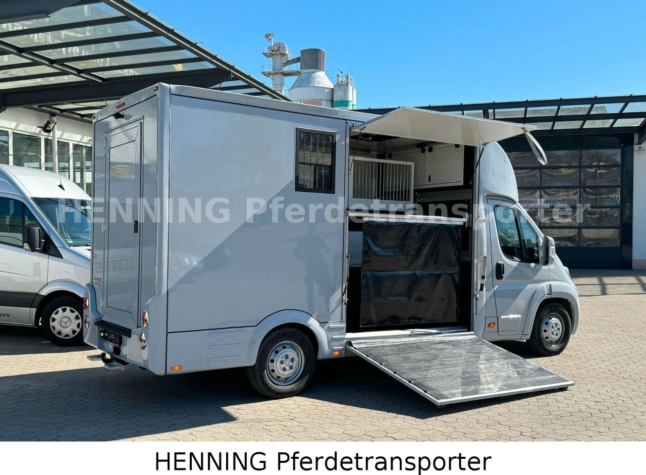 Citroën Jumper 3 - Sitzer *AUFBAU NEU* - Hobuseauto: pilt 4 Citroën Jumper 3 - Sitzer *AUFBAU NEU* - Hobuseauto: pilt 4