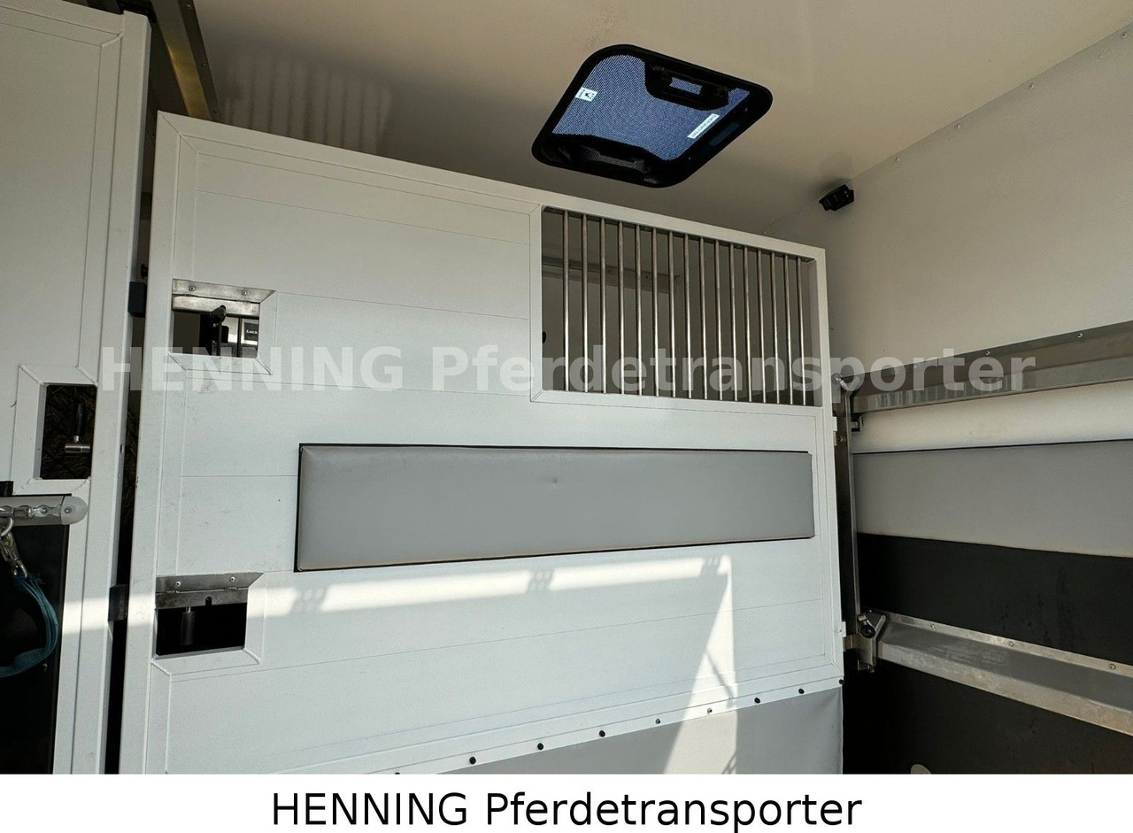 Citroën Jumper 5 - Sitzer - Loomaveok: pilt 4 Citroën Jumper 5 - Sitzer - Loomaveok: pilt 4