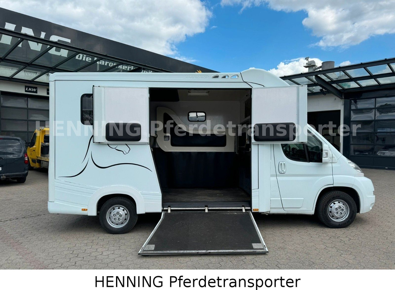 Fiat Ducato 3-Sitzer - Hobuseauto, Tarbesõiduk: pilt 4 Fiat Ducato 3-Sitzer - Hobuseauto, Tarbesõiduk: pilt 4
