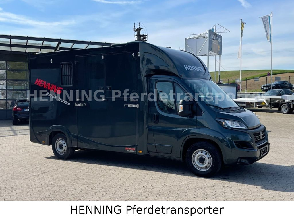 Fiat Ducato 3 - Sitzer *VORFÜHRUNGSFAHRZEUG* - Hobuseauto: pilt 3 Fiat Ducato 3 - Sitzer *VORFÜHRUNGSFAHRZEUG* - Hobuseauto: pilt 3