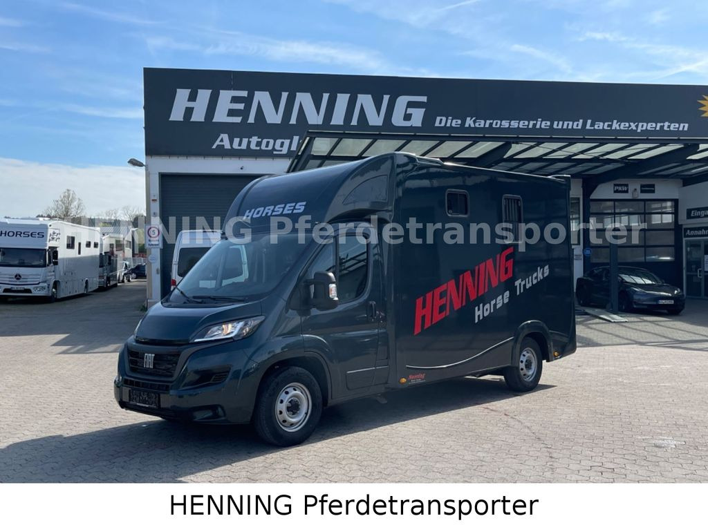 Fiat Ducato 3 - Sitzer *VORFÜHRUNGSFAHRZEUG* - Hobuseauto: pilt 1 Fiat Ducato 3 - Sitzer *VORFÜHRUNGSFAHRZEUG* - Hobuseauto: pilt 1