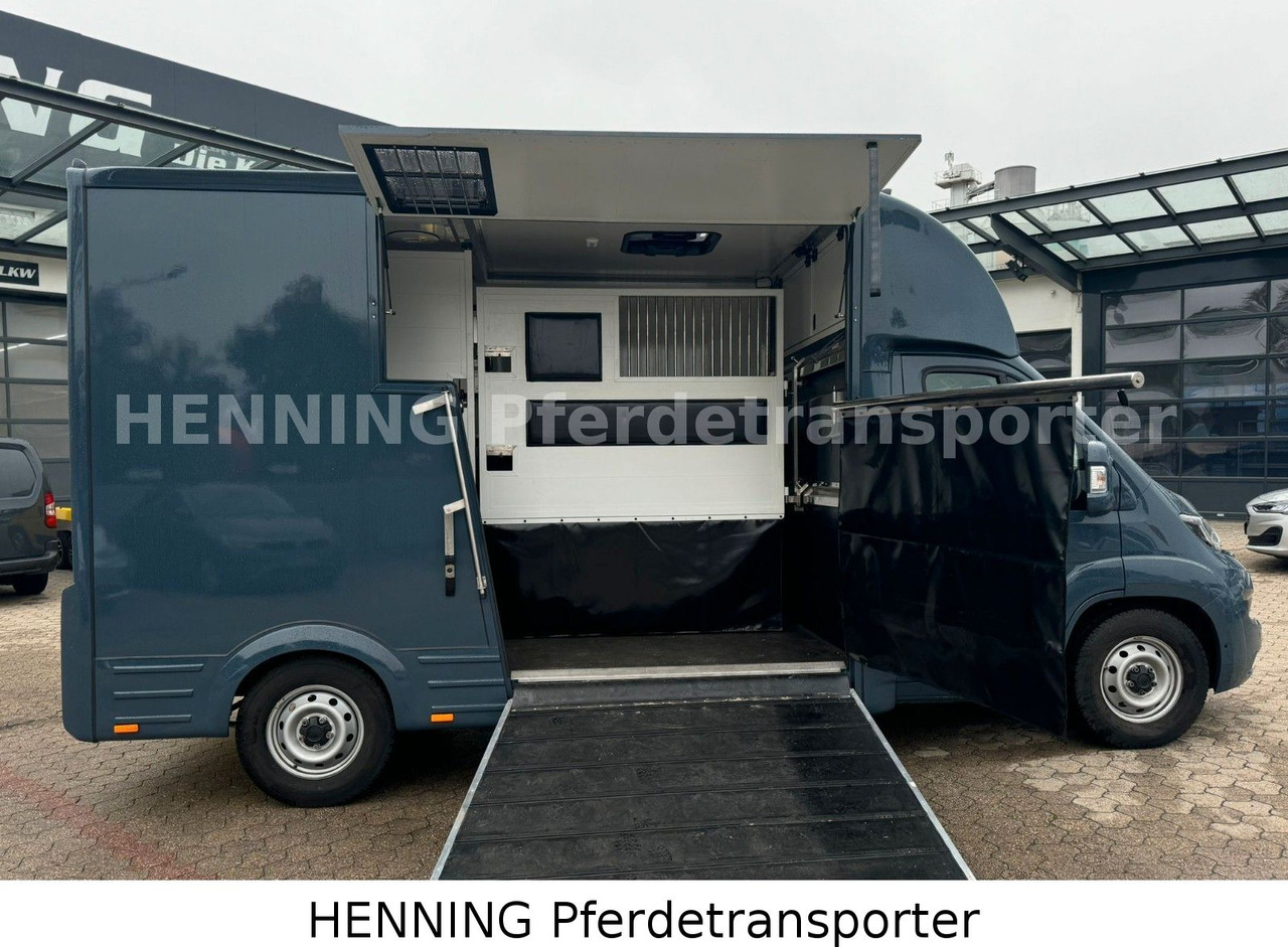 Fiat Ducato *AUTOMATIK* 3 - Sitzer - Loomaveok: pilt 4 Fiat Ducato *AUTOMATIK* 3 - Sitzer - Loomaveok: pilt 4