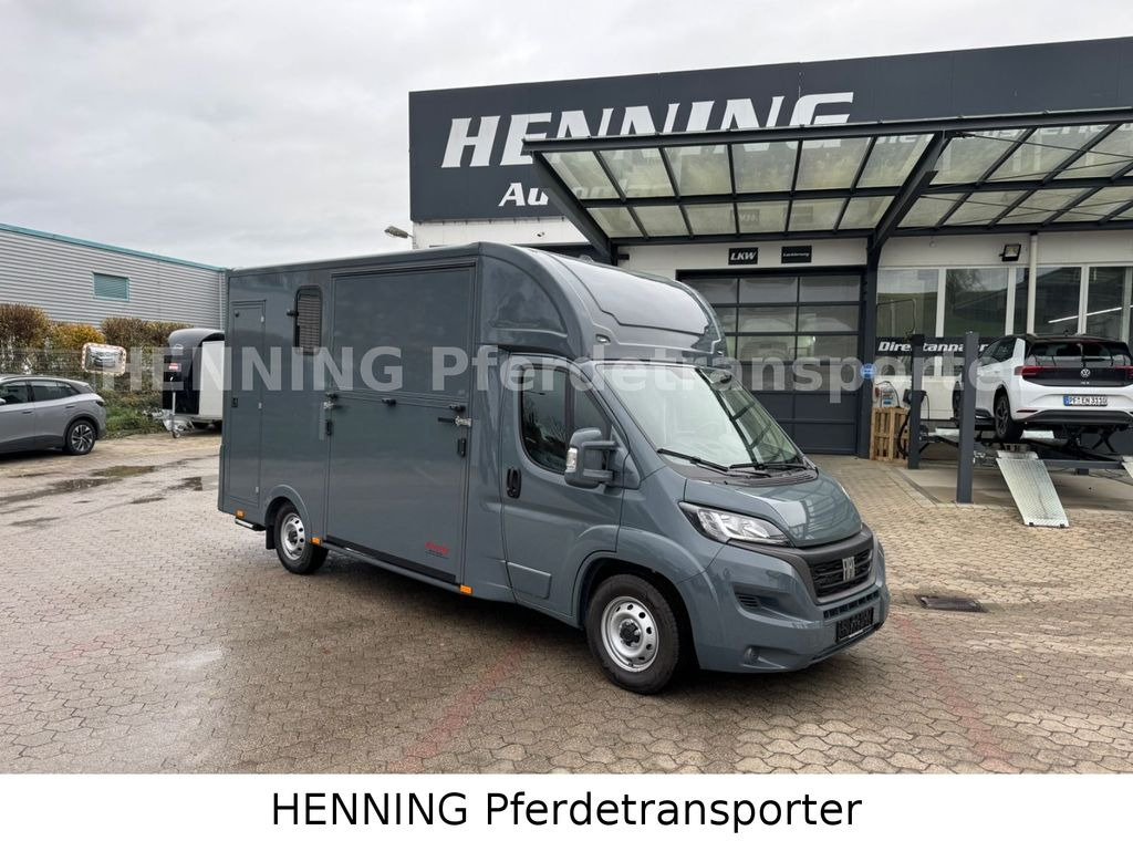 Fiat Ducato *NEUWAGEN* ca.1100 kg Nutzlast - Hobuseauto: pilt 1 Fiat Ducato *NEUWAGEN* ca.1100 kg Nutzlast - Hobuseauto: pilt 1