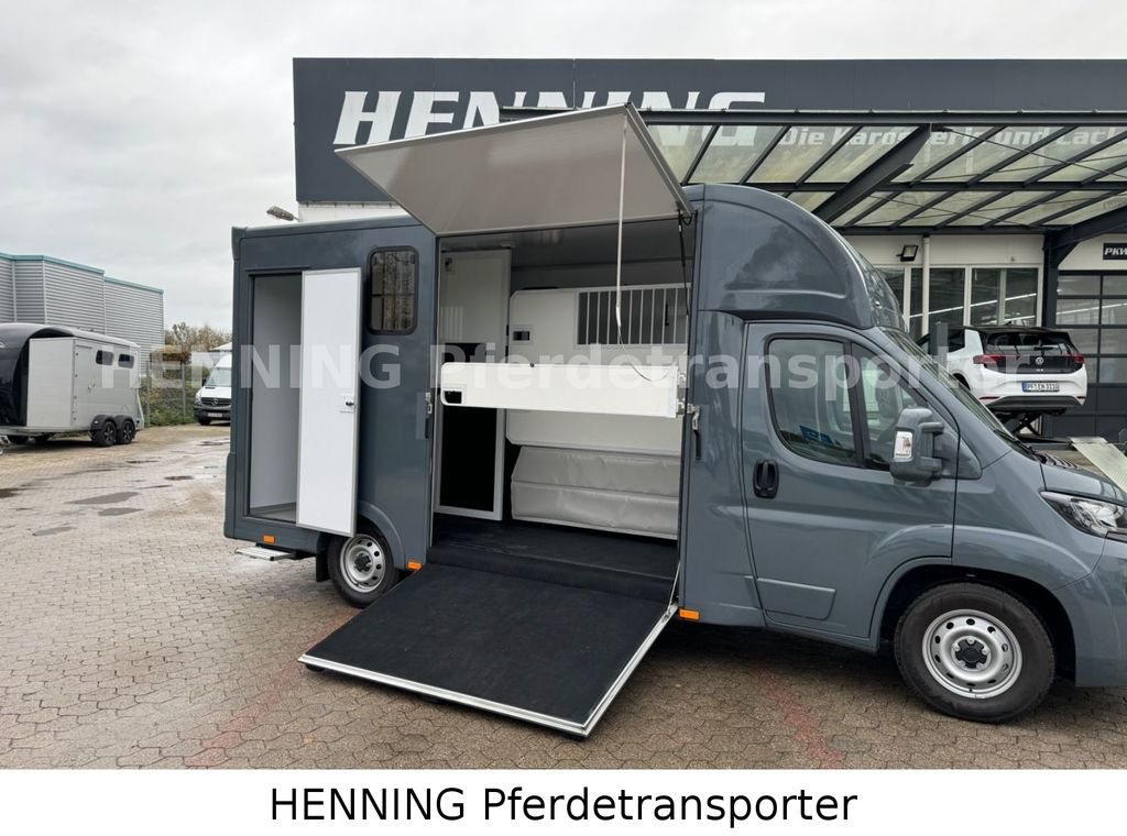 Fiat Ducato *NEUWAGEN* ca.1100 kg Nutzlast - Hobuseauto: pilt 4 Fiat Ducato *NEUWAGEN* ca.1100 kg Nutzlast - Hobuseauto: pilt 4
