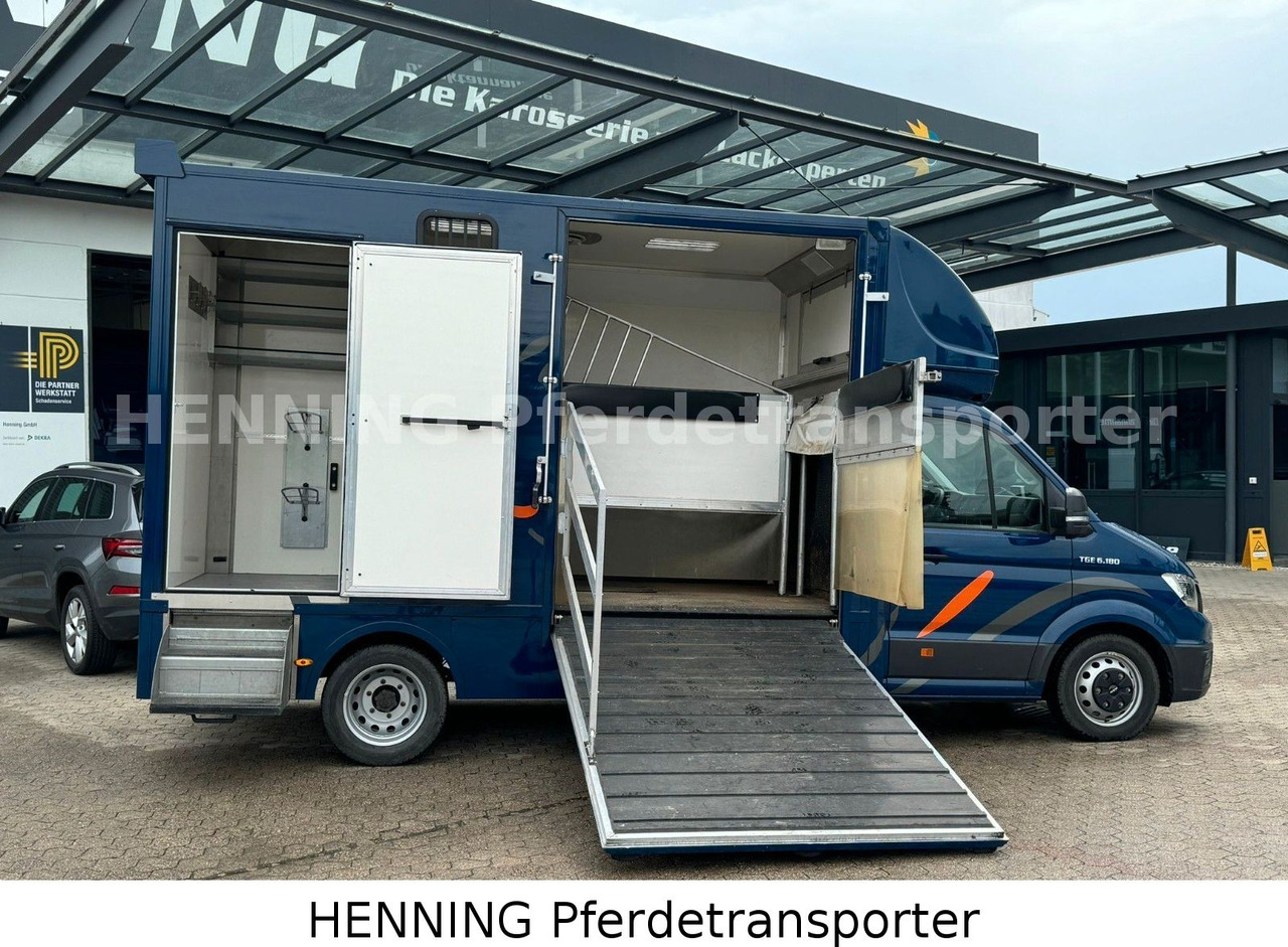 MAN TGE 5.500kg Gesamtgewicht - Loomaveok: pilt 5 MAN TGE 5.500kg Gesamtgewicht - Loomaveok: pilt 5