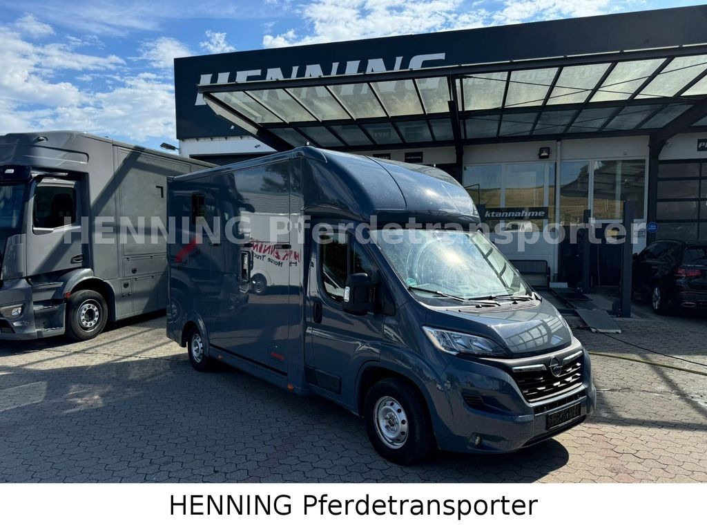 Opel Movano 3 - Sitzer *AUFBAU NEU* Opel Movano 3 - Sitzer *AUFBAU NEU* - Hobuseauto: pilt 1 Opel Movano 3 - Sitzer *AUFBAU NEU* Opel Movano 3 - Sitzer *AUFBAU NEU* - Hobuseauto: pilt 1