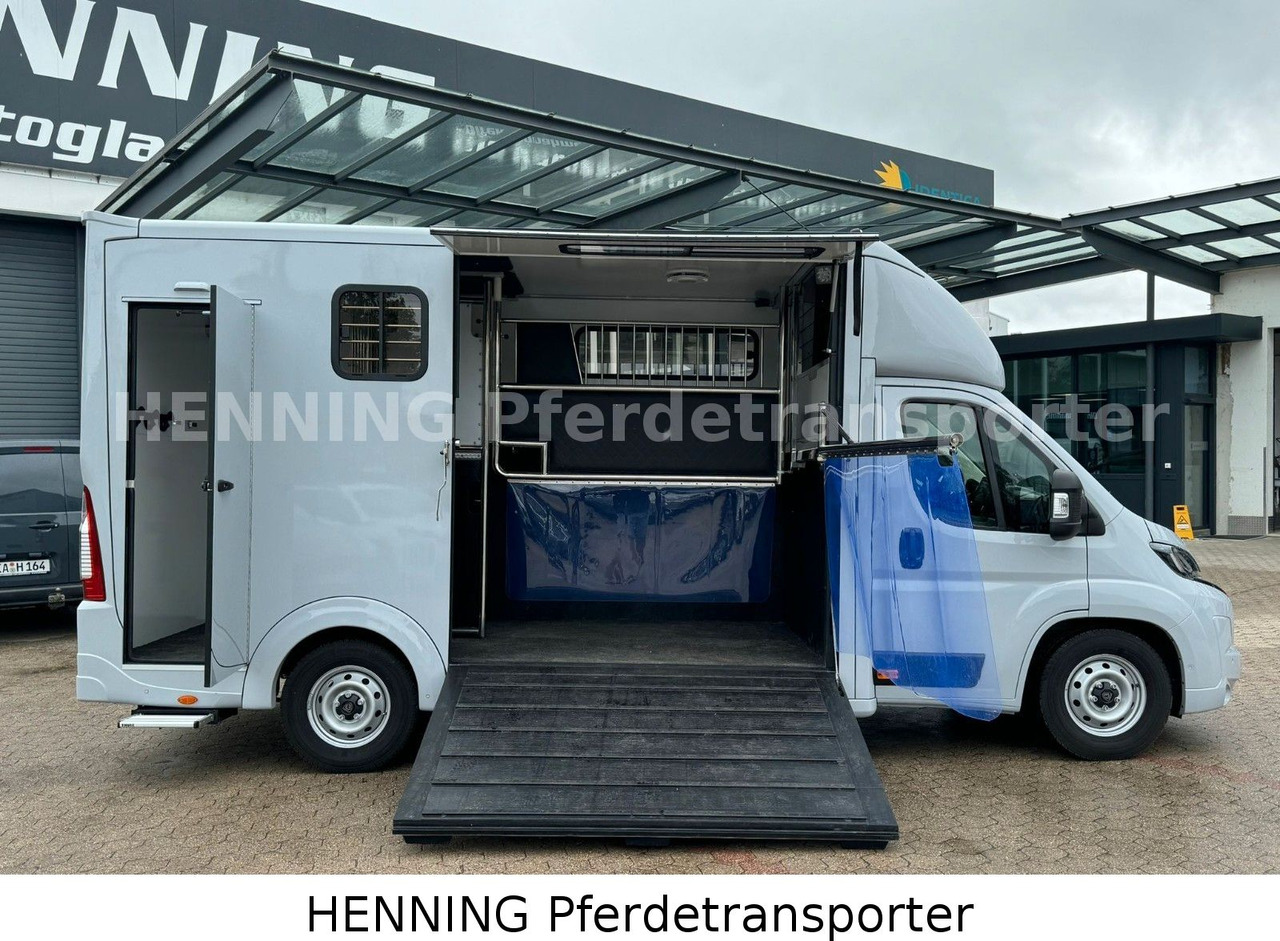 Peugeot Boxer 3 - Sitzer *GROSSE SATTELKAMMER* - Loomaveok: pilt 5 Peugeot Boxer 3 - Sitzer *GROSSE SATTELKAMMER* - Loomaveok: pilt 5