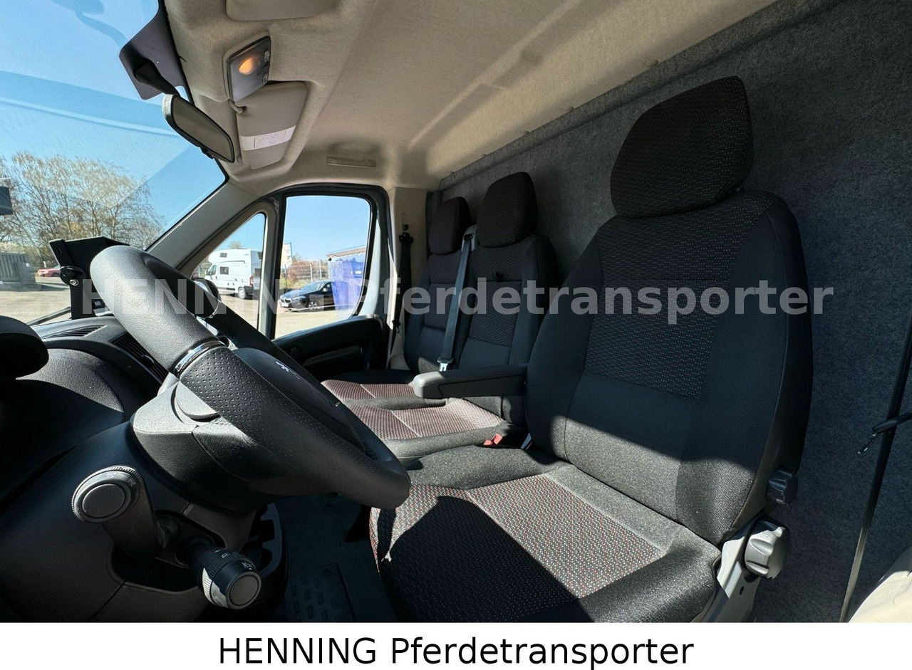 Hobuseauto Peugeot Boxer 3-Sitzer *NEUWAGEN* 1000 KG NUTZLAST: pilt 14