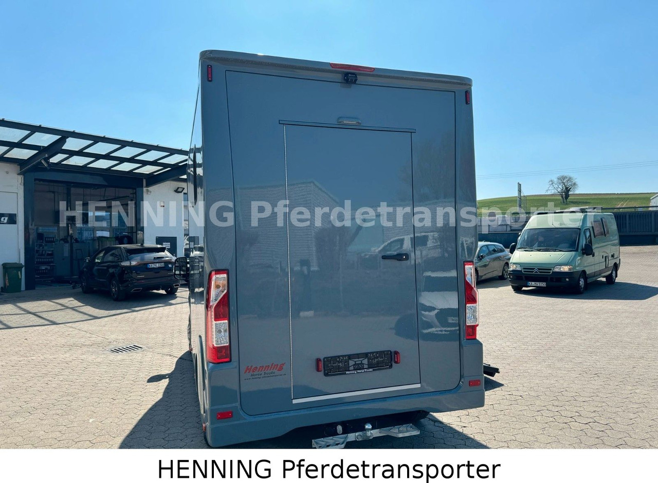 Hobuseauto Peugeot Boxer 3-Sitzer *NEUWAGEN* 1000 KG NUTZLAST: pilt 12