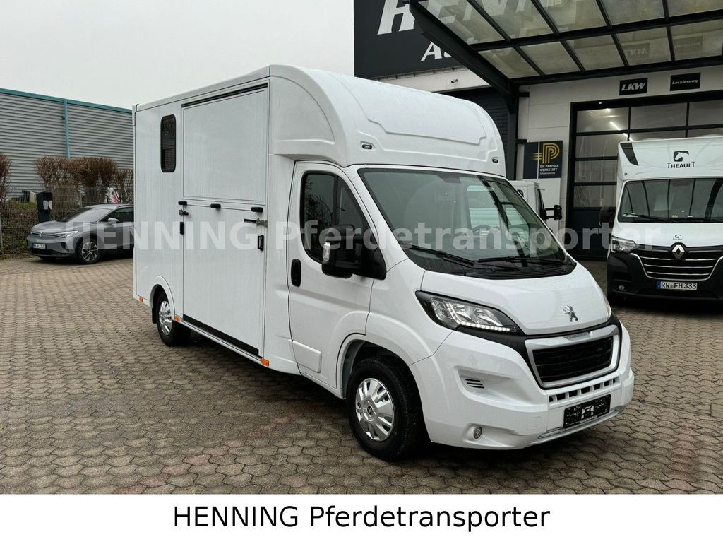 Peugeot Boxer *NEUWAGEN* ca. 1.200kg Nutzlast - Hobuseauto: pilt 2 Peugeot Boxer *NEUWAGEN* ca. 1.200kg Nutzlast - Hobuseauto: pilt 2