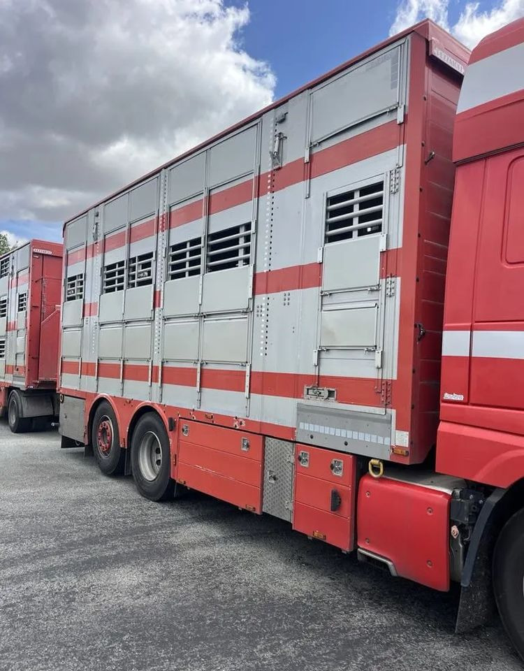 DAF XF 460 + Przyczepa Pezzaoli - 3X Trzoda, 2 X Bydło I 3 poziomy I Podnoszony dach I Hydroburta I Osie Skrętne I Poidła I Wentylatory I Pilot Manualny | Euro5 - Loomaveok: pilt 5 DAF XF 460 + Przyczepa Pezzaoli - 3X Trzoda, 2 X Bydło I 3 poziomy I Podnoszony dach I Hydroburta I Osie Skrętne I Poidła I Wentylatory I Pilot Manualny | Euro5 - Loomaveok: pilt 5