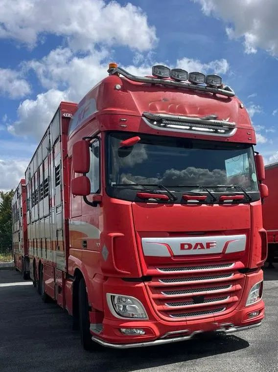 DAF XF 530 + Przyczepa Pezzaoli - 3X Trzoda, 2 X Bydło I 3 poziomy I Podnoszony dach I Hydroburta I Osie Skrętne I Poidła I Wentylatory I Pilot Manualny | - Loomaveok: pilt 5 DAF XF 530 + Przyczepa Pezzaoli - 3X Trzoda, 2 X Bydło I 3 poziomy I Podnoszony dach I Hydroburta I Osie Skrętne I Poidła I Wentylatory I Pilot Manualny | - Loomaveok: pilt 5