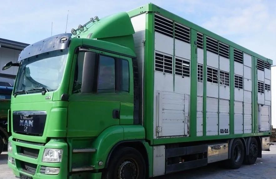 MAN TGS 26.440 ZABUDOWA KABA CAŁA ALUMINIOWA– samochód do transportu zwierząt/koni – 3 pokłady / EURO 5/6X2/PODNOSZONY DACH - Loomaveok: pilt 1 MAN TGS 26.440 ZABUDOWA KABA CAŁA ALUMINIOWA– samochód do transportu zwierząt/koni – 3 pokłady / EURO 5/6X2/PODNOSZONY DACH - Loomaveok: pilt 1
