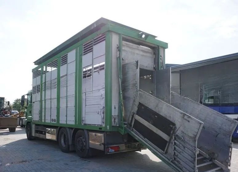MAN TGS 26.440 ZABUDOWA KABA CAŁA ALUMINIOWA– samochód do transportu zwierząt/koni – 3 pokłady / EURO 5/6X2/PODNOSZONY DACH - Loomaveok: pilt 4 MAN TGS 26.440 ZABUDOWA KABA CAŁA ALUMINIOWA– samochód do transportu zwierząt/koni – 3 pokłady / EURO 5/6X2/PODNOSZONY DACH - Loomaveok: pilt 4