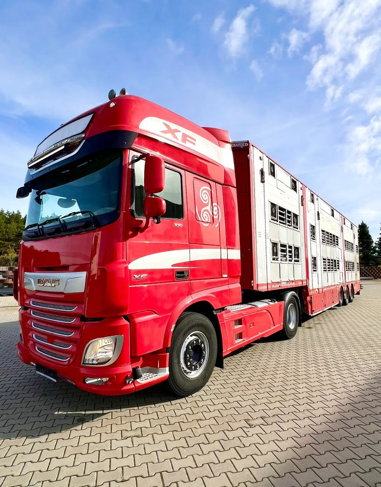 Pezzaioli NACZEPA 2017 / 3 POZIOMY / TRANSPORT ZWIERZĄT / HYDRAULIKA / STEROWANIE PILOTEM/ PODNOSZONY DACH / - Loomaveo poolhaagis: pilt 5 Pezzaioli NACZEPA 2017 / 3 POZIOMY / TRANSPORT ZWIERZĄT / HYDRAULIKA / STEROWANIE PILOTEM/ PODNOSZONY DACH / - Loomaveo poolhaagis: pilt 5