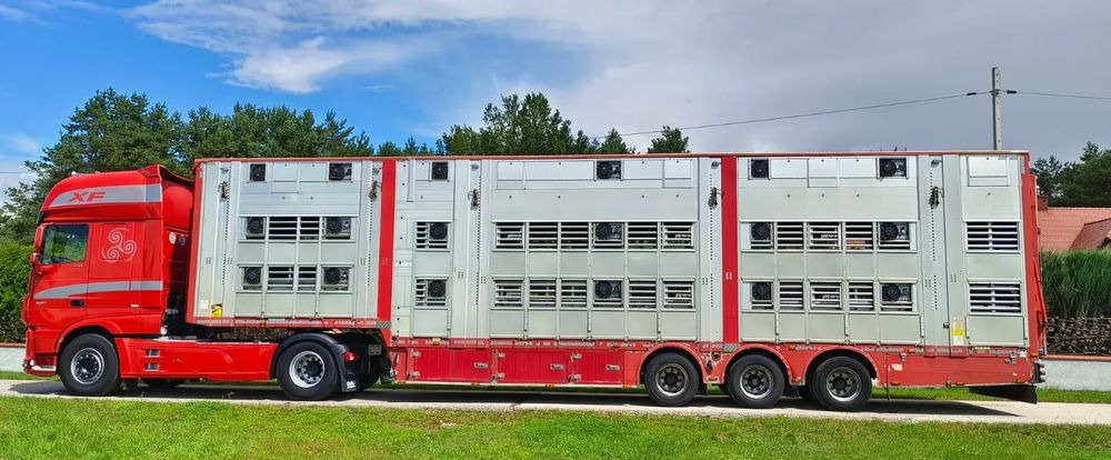 Pezzaioli SBA32/hydrauliczny dach/hydrauliczna rampa/ 3 poziomy/ 2xbydło -3xtrzoda/wentylatory/poidła/sterowanie pilotem - Loomaveo poolhaagis: pilt 2 Pezzaioli SBA32/hydrauliczny dach/hydrauliczna rampa/ 3 poziomy/ 2xbydło -3xtrzoda/wentylatory/poidła/sterowanie pilotem - Loomaveo poolhaagis: pilt 2