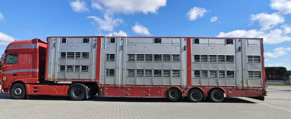 Pezzaioli SBA32/hydrauliczny dach/hydrauliczna rampa/ 3 poziomy/ 2xbydło -3xtrzoda/wentylatory/poidła/sterowanie pilotem - Loomaveo poolhaagis: pilt 3 Pezzaioli SBA32/hydrauliczny dach/hydrauliczna rampa/ 3 poziomy/ 2xbydło -3xtrzoda/wentylatory/poidła/sterowanie pilotem - Loomaveo poolhaagis: pilt 3
