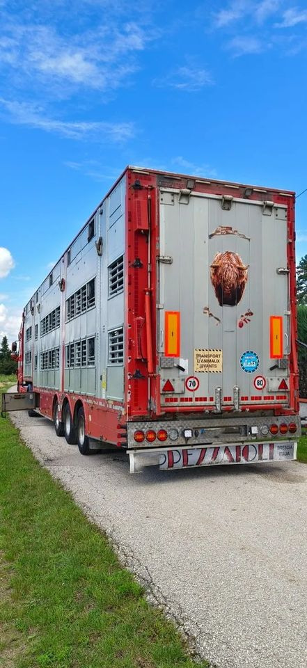 Pezzaioli SBA32/hydrauliczny dach/hydrauliczna rampa/ 3 poziomy/ 2xbydło -3xtrzoda/wentylatory/poidła/sterowanie pilotem - Loomaveo poolhaagis: pilt 5 Pezzaioli SBA32/hydrauliczny dach/hydrauliczna rampa/ 3 poziomy/ 2xbydło -3xtrzoda/wentylatory/poidła/sterowanie pilotem - Loomaveo poolhaagis: pilt 5
