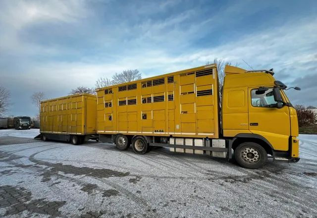 Volvo FH 420 • KABA • Transport Zwierząt 3xŚwinie/ 2xBydło 3-piętrowy • Euro 5 • Retarder • Oś podnoszona i skrętna - Loomaveok: pilt 3 Volvo FH 420 • KABA • Transport Zwierząt 3xŚwinie/ 2xBydło 3-piętrowy • Euro 5 • Retarder • Oś podnoszona i skrętna - Loomaveok: pilt 3