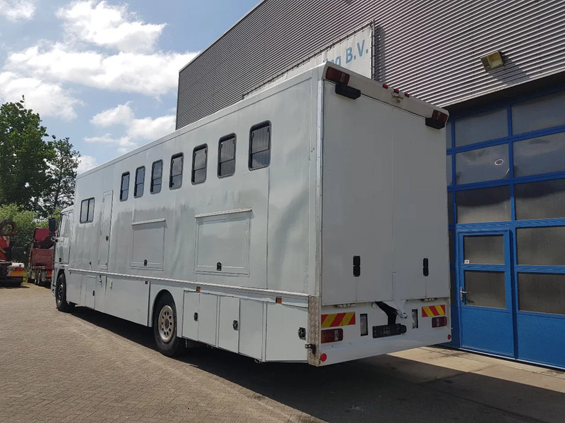 DAF 95.350 Paardenwagen met zitverblijf 7 paarden 7 horses - Hobuseauto: pilt 4 DAF 95.350 Paardenwagen met zitverblijf 7 paarden 7 horses - Hobuseauto: pilt 4