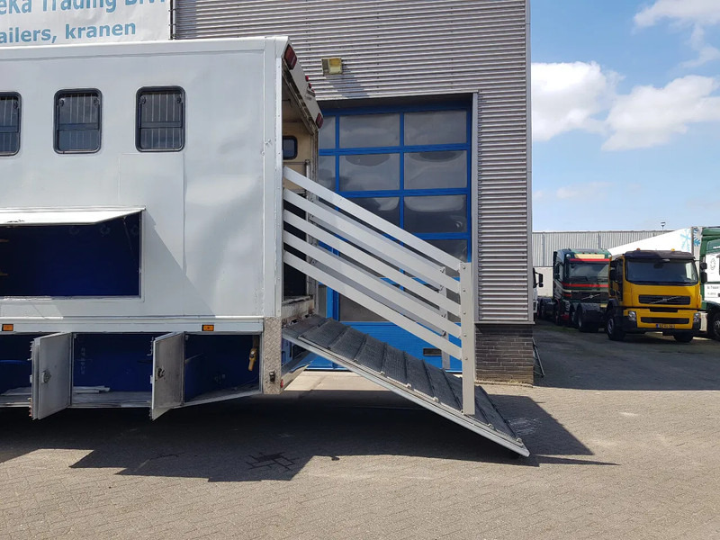 DAF 95.350 Paardenwagen met zitverblijf 7 paarden 7 horses - Hobuseauto: pilt 5 DAF 95.350 Paardenwagen met zitverblijf 7 paarden 7 horses - Hobuseauto: pilt 5