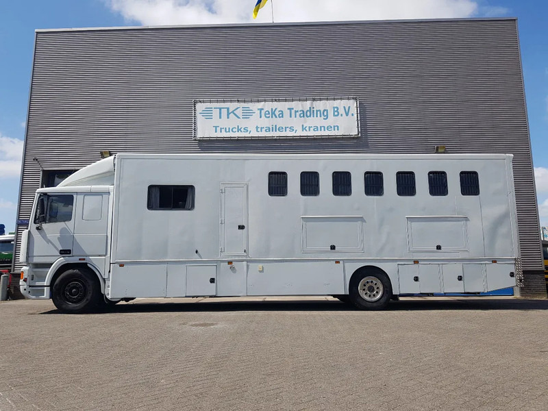 DAF 95.350 Paardenwagen met zitverblijf 7 paarden 7 horses - Hobuseauto: pilt 3 DAF 95.350 Paardenwagen met zitverblijf 7 paarden 7 horses - Hobuseauto: pilt 3