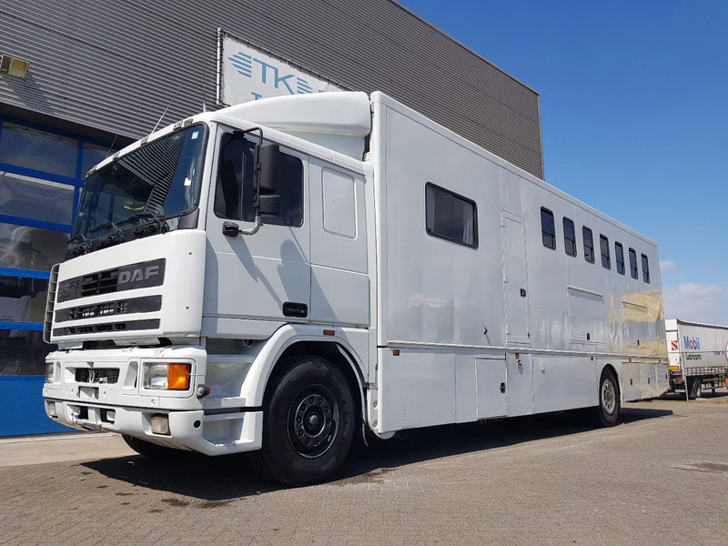 DAF 95.350 Paardenwagen met zitverblijf 7 paarden 7 horses - Hobuseauto: pilt 1 DAF 95.350 Paardenwagen met zitverblijf 7 paarden 7 horses - Hobuseauto: pilt 1