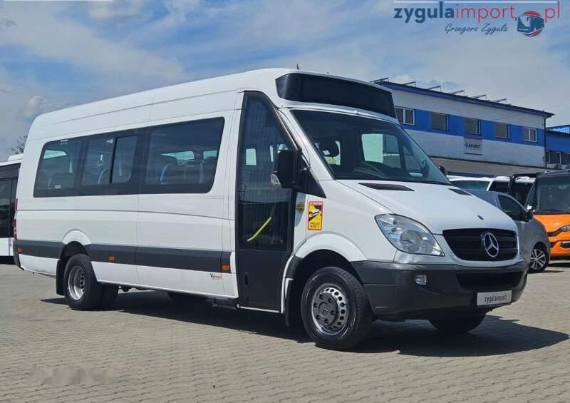 Väikebuss, Mikrobuss Mercedes-Benz SPRINTER 513 CDI / SPROWADZONY / EEV / KLIMA: pilt 1