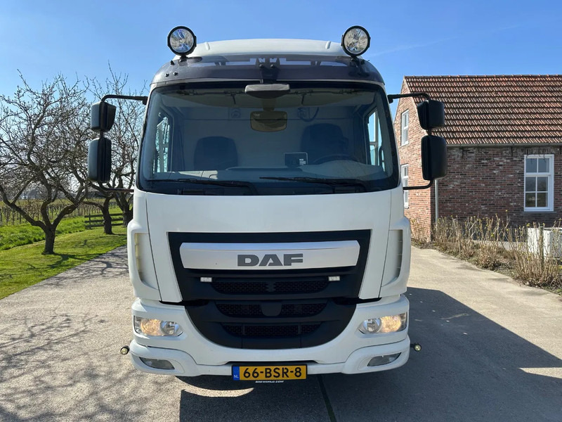 DAF LF 250 / NL TRUCK / EURO6 / LENGTE BAK 950cm / 12T - Treilerveoauto: pilt 2 DAF LF 250 / NL TRUCK / EURO6 / LENGTE BAK 950cm / 12T - Treilerveoauto: pilt 2