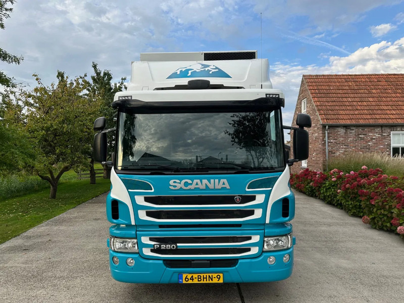 Scania P280 / NL TRUCK / FRIGOBLOCK FK 13(2019) / 2000kg LIFT / TOPCONDITION!! - Külmutiga veoauto: pilt 3 Scania P280 / NL TRUCK / FRIGOBLOCK FK 13(2019) / 2000kg LIFT / TOPCONDITION!! - Külmutiga veoauto: pilt 3