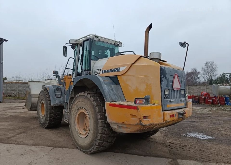 Liebherr L544 2 plus 2 - Rataslaadur: pilt 1 Liebherr L544 2 plus 2 - Rataslaadur: pilt 1