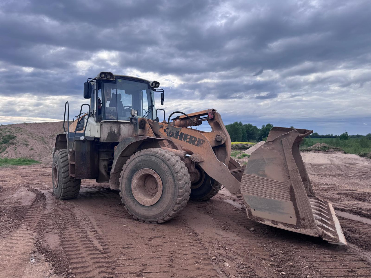 LIEBHERR L566 - Ekskavaator-laadur: pilt 3 LIEBHERR L566 - Ekskavaator-laadur: pilt 3