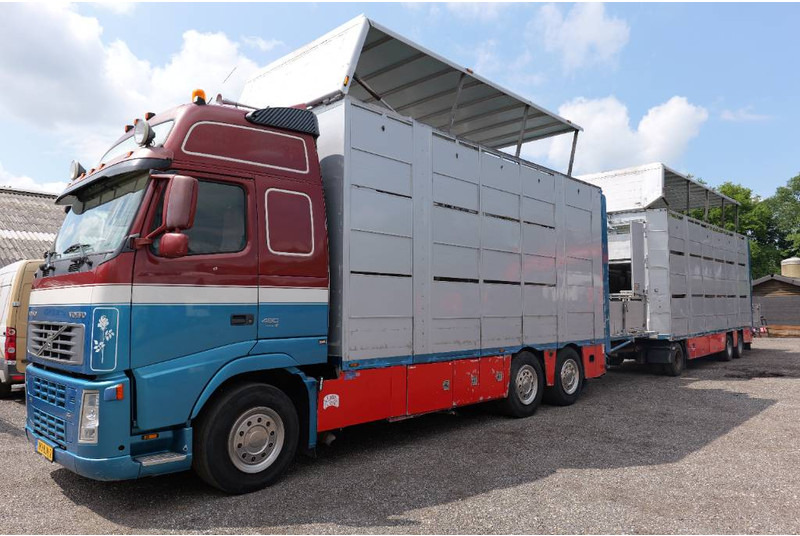 Volvo FH 13 480 6x2 3 stock livestock transport Cuppers - Loomaveok: pilt 2 Volvo FH 13 480 6x2 3 stock livestock transport Cuppers - Loomaveok: pilt 2